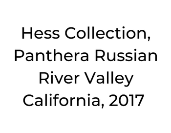 Hess Collection, Panthera Russian River Valley California, 2017